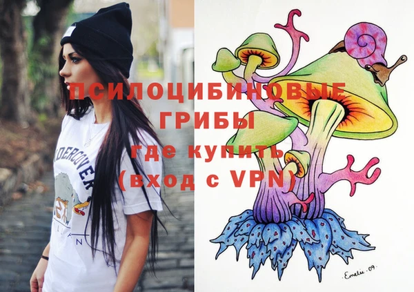 соль курить ск Вяземский