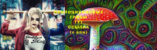 спайс Вязьма