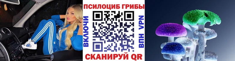 Псилоцибиновые грибы MAGIC MUSHROOMS  продажа наркотиков  Пересвет 