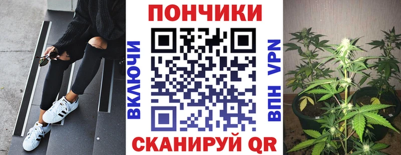 купить наркотик  Пересвет  Бошки марихуана OG Kush 